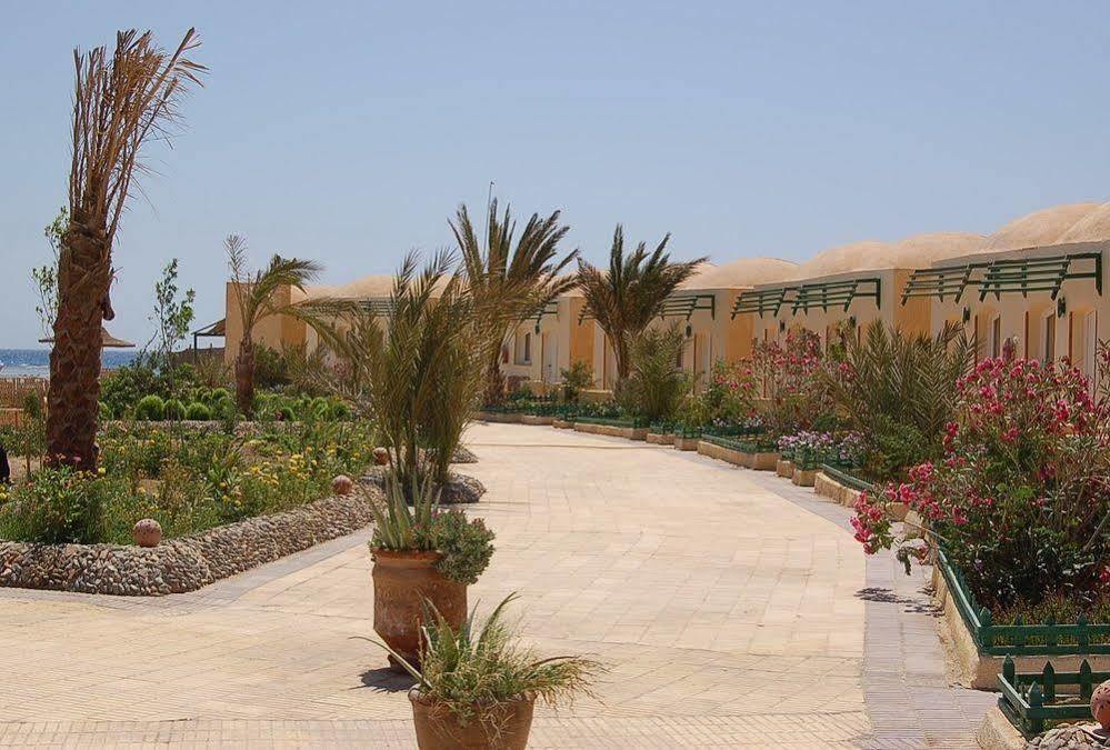 Fanadir Hotel El Quseir El Qoseir Bagian luar foto